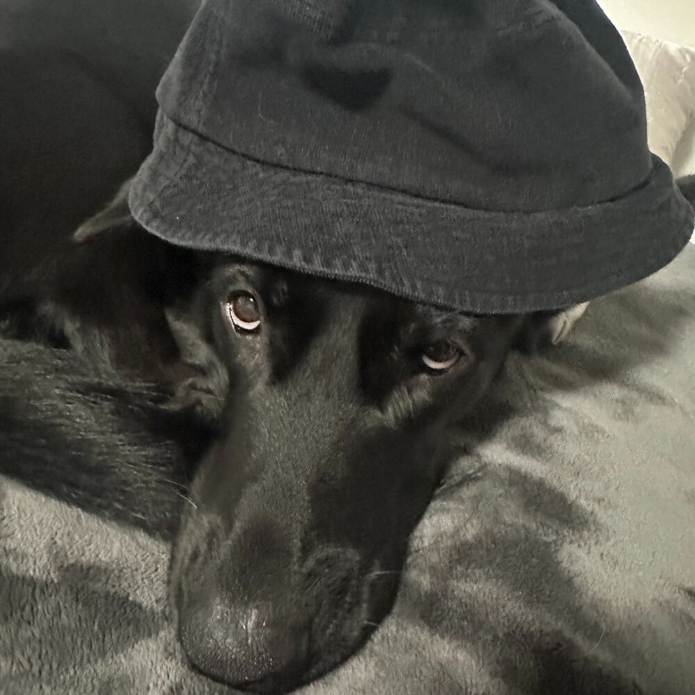 Meet your Posher, Mariah